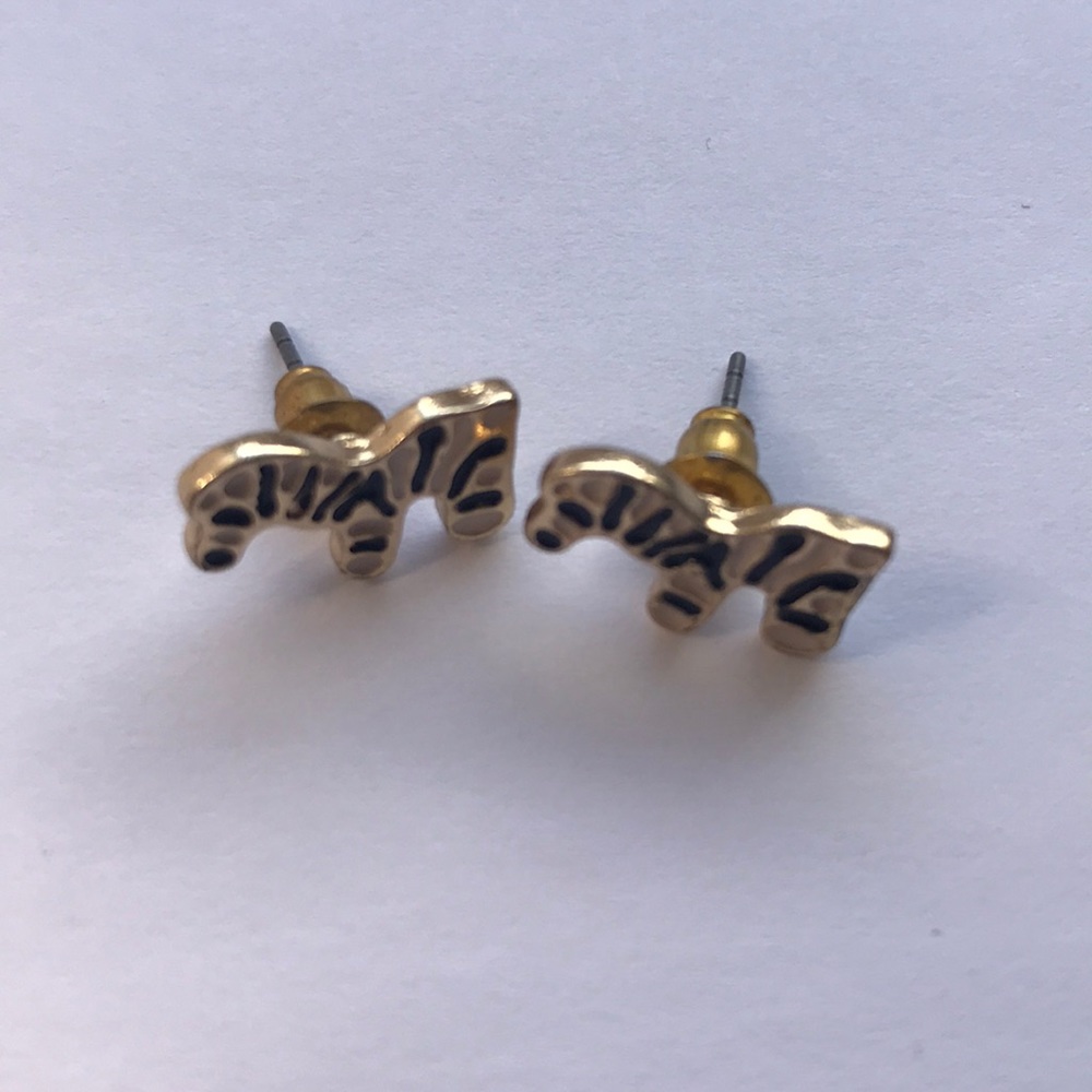 Silly Stripes Earrings!!🦓❤️